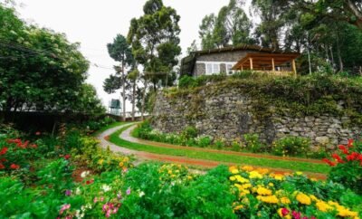 How Heritage Homes Enhance the Wellness Travel Experience