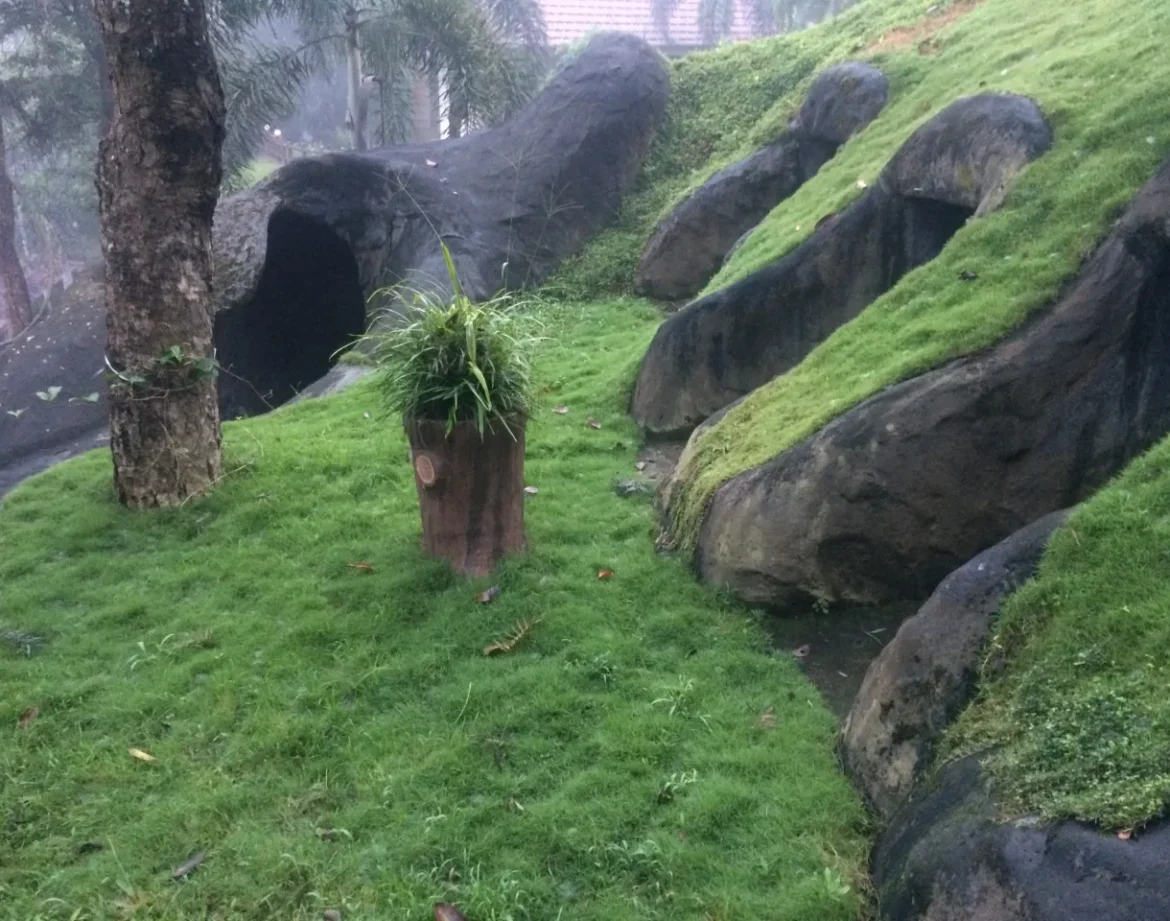 WhatsApp Image 2025-09-11 at 4.31.53 PM_3_11zon