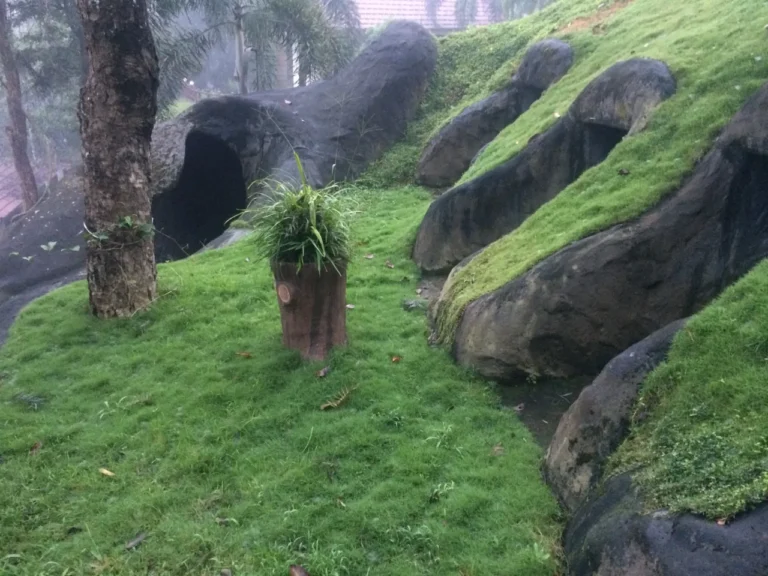 WhatsApp Image 2025-09-11 at 4.31