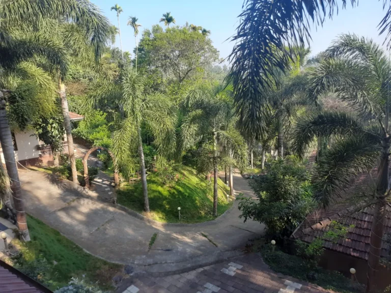 WhatsApp Image 2025-09-11 at 4.31