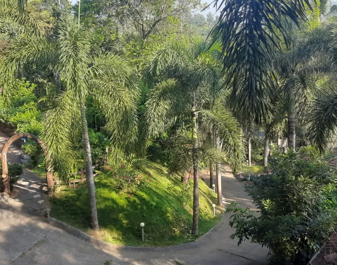 WhatsApp Image 2025-09-11 at 4.31.55 PM (3)_9_11zon