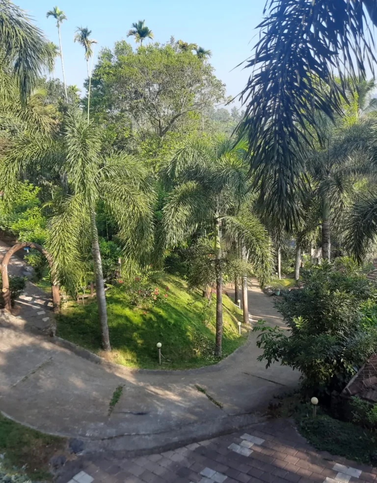 WhatsApp Image 2025-09-11 at 4.31