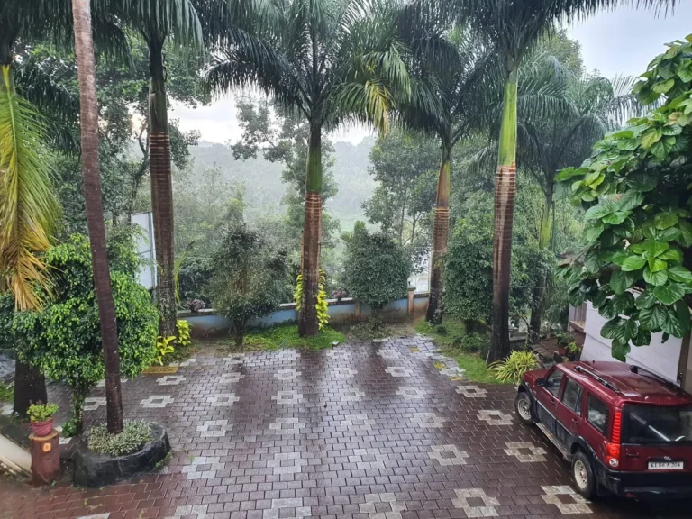 WhatsApp Image 2025-09-11 at 4.34