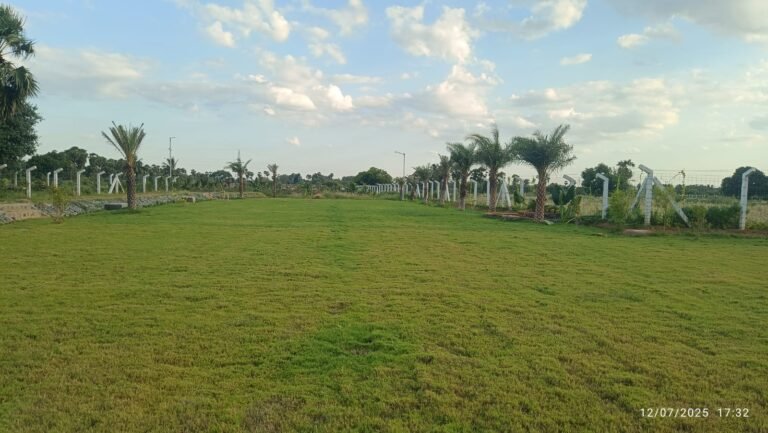 WhatsApp Image 2025-07-15 at 2.29