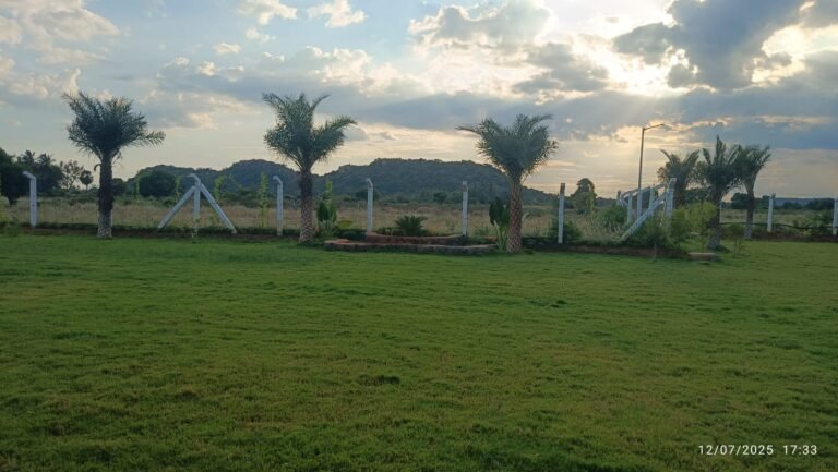 WhatsApp Image 2025-07-15 at 2.29