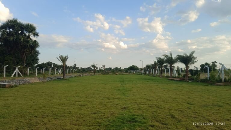 WhatsApp Image 2025-07-15 at 2.29