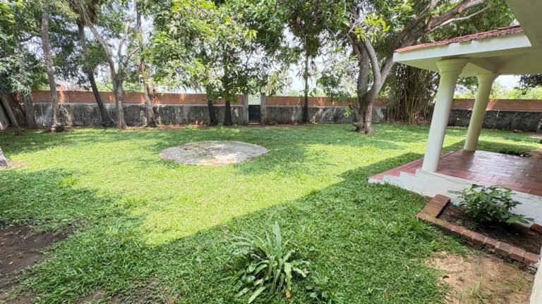 WhatsApp Image 2026-01-12 at 8.18