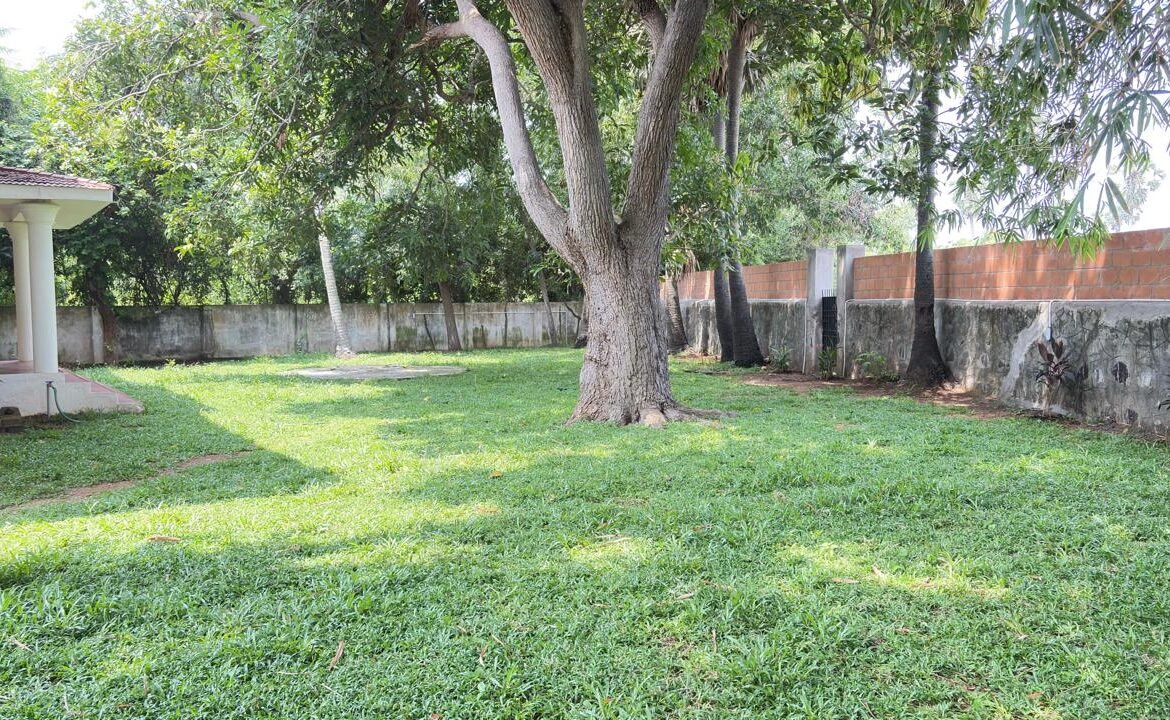 WhatsApp Image 2026-01-12 at 8.18.47 PM (2)