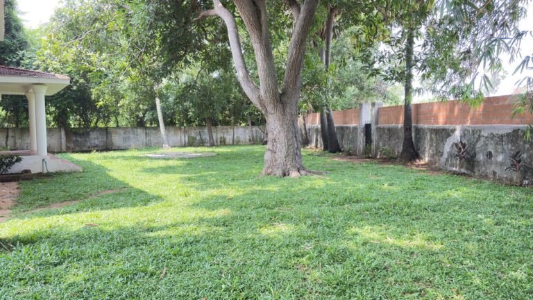 WhatsApp Image 2026-01-12 at 8.18