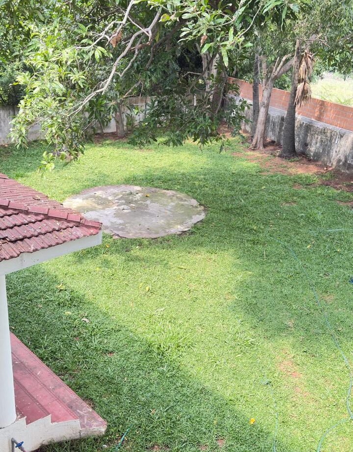 WhatsApp Image 2026-01-12 at 8.18.47 PM