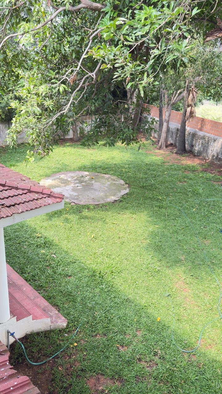 WhatsApp Image 2026-01-12 at 8.18