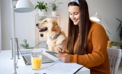 What to Look for in a Pet Friendly Stay Before Booking?